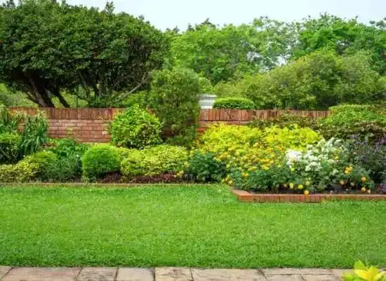 landscaping services Menands